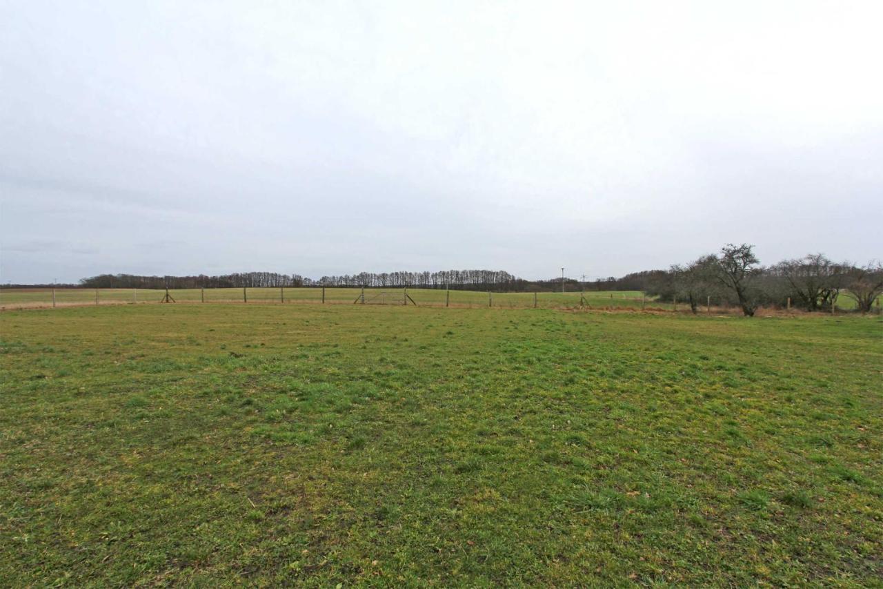 Ferienwohnungen Wredenhagen See 10860 Dış mekan fotoğraf